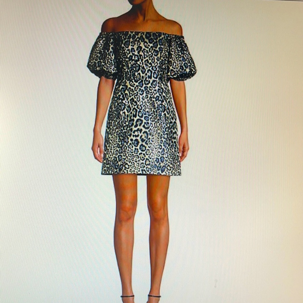Aidan Mattox metallic leopard print dress.